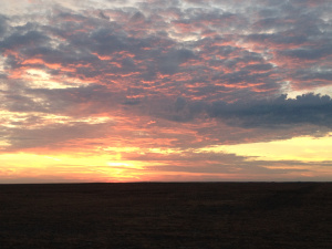 Sunrise photo by Sally Gerard.