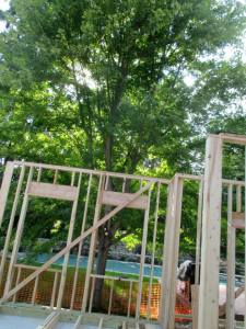The hole in the maple tree, framed by the window of the addition, August, 2014.