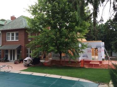 That's the maple. The hole is on the other side and there is not enough room between the tree and the addition.