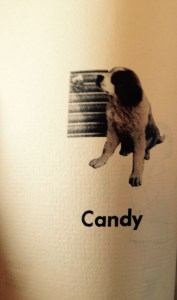 The back side of the 1965 Christmas card with our dog Candy. Uncle Bob gave us this Saint Bernard puppy earlier in the year.