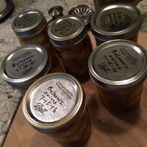 July 16 cipollini onions